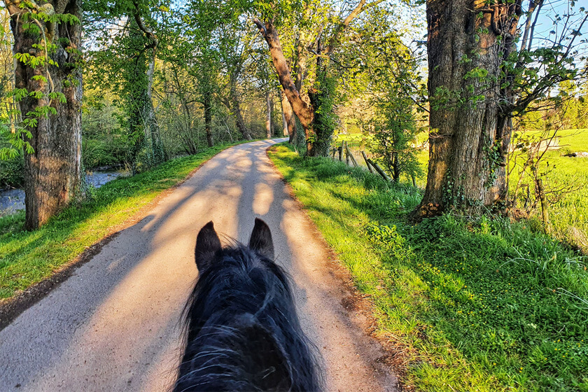 horse riding view